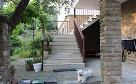 Bella Vista Bolognese