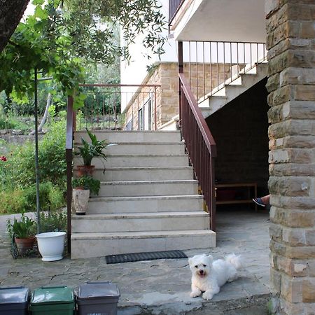 Villa Bella Vista Bolognese à Trespiano Extérieur photo